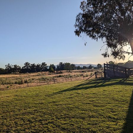 Cudgegong Valley Motel Mudgee Exterior foto