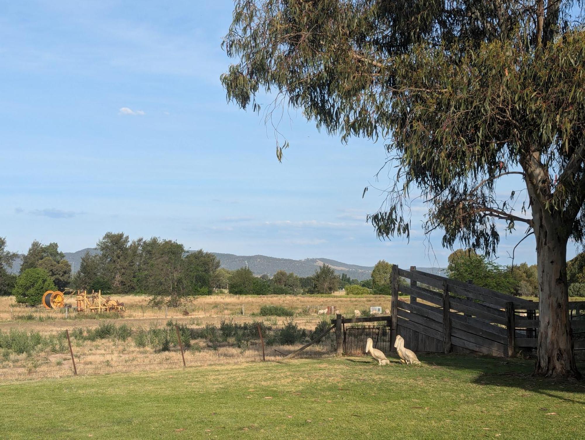 Cudgegong Valley Motel Mudgee Exterior foto